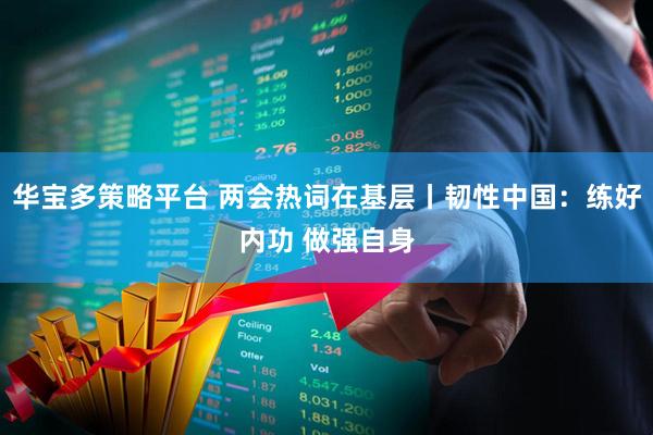 华宝多策略平台 两会热词在基层丨韧性中国：练好内功 做强自身