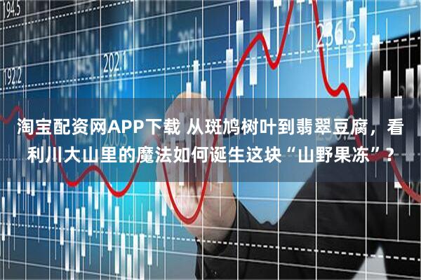淘宝配资网APP下载 从斑鸠树叶到翡翠豆腐，看利川大山里的魔法如何诞生这块“山野果冻”？