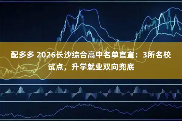 配多多 2026长沙综合高中名单官宣：3所名校试点，升学就业双向兜底
